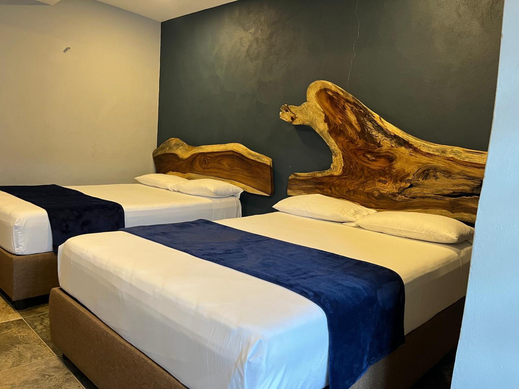 Hotel La Bikina Tequila Exteriör bild